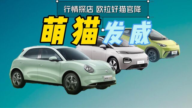 8月新一轮降价潮,欧拉好猫“真香”警告,售价不到11万元