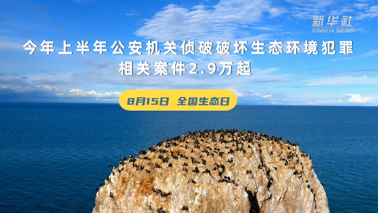 今年上半年公安机关侦破破坏生态环境犯罪相关案件2.9万起