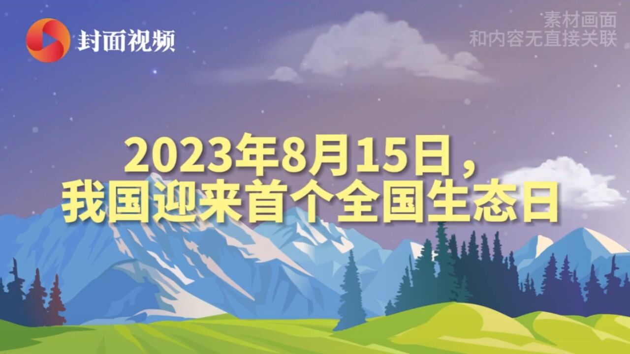 全国生态日丨我国生态有哪些好进展?这组数据告诉你