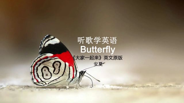 听歌学英语:《Butterfly》曾风靡全球的神曲