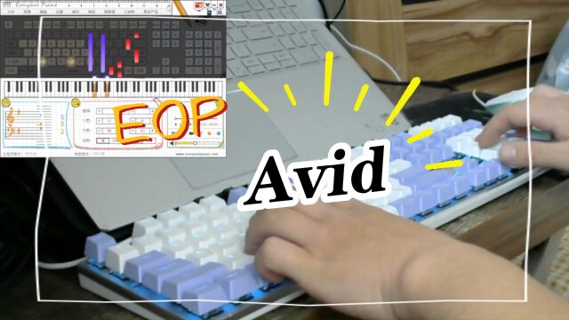 【EOP键盘钢琴】Avid | 好听的曲子推荐