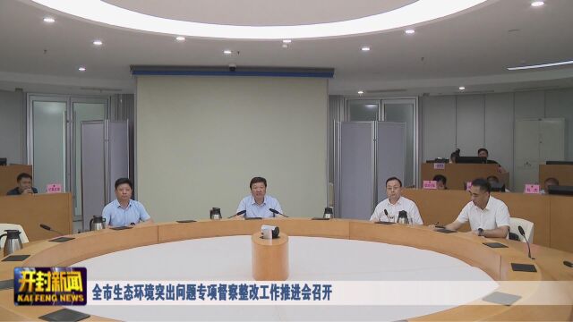 全市生态环境突出问题专项督察整改工作推进会召开