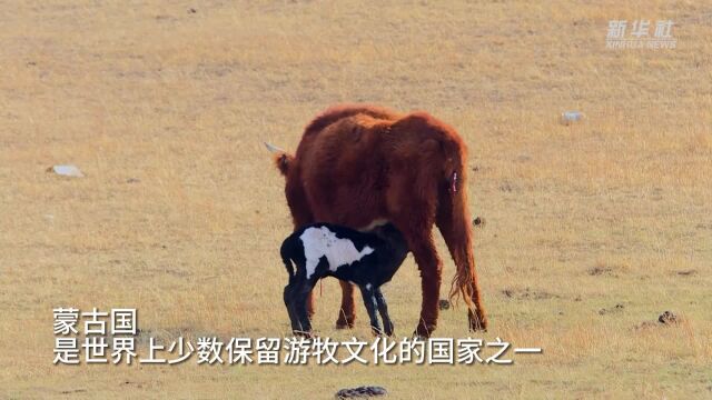 蒙古国草原牧场风光