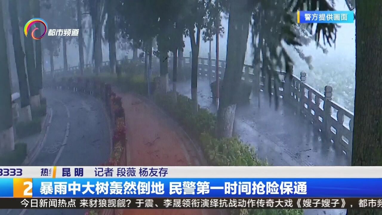 暴雨中大树轰然倒地 民警第一时间抢险保通