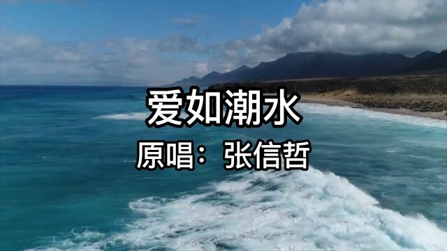 张信哲《爱如潮水》既然爱了就无怨无悔