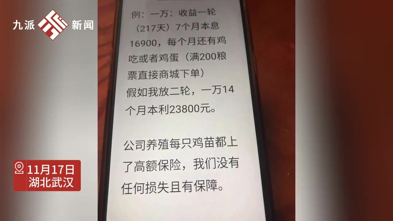 11月17日,湖北武汉.老人被骗万元去投资养鸡行业:骗子说收益高每个星期还送鸡蛋