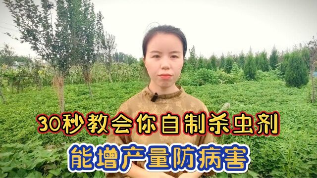 30秒教会你自制杀虫剂,省时省力又实用的防虫技巧