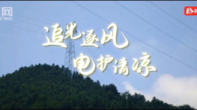 迎峰度夏丨湖南能源、电力等部门和各发电企业积极迎“烤”保供电