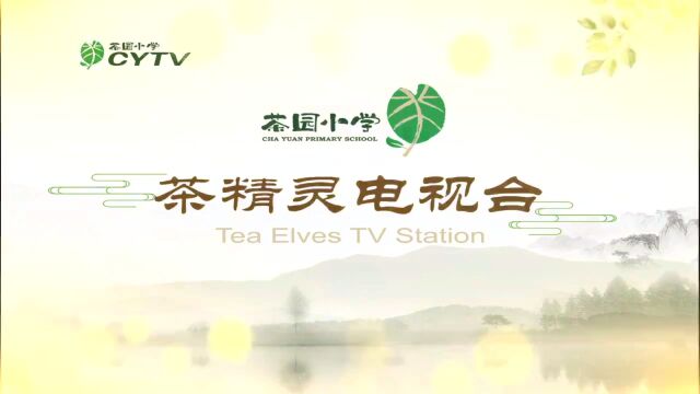 茶园小学CYTV