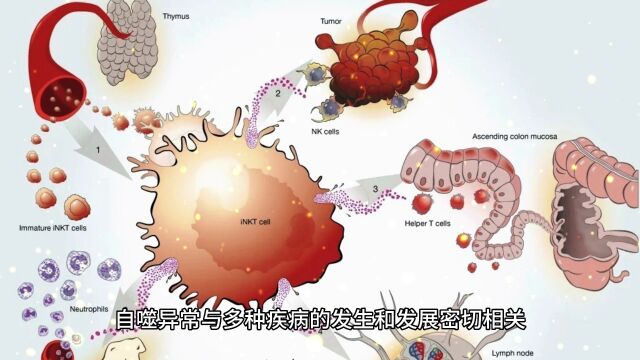 多细胞生物自噬起始的分子机制4