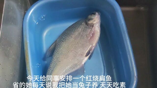 午餐给同事做了红烧扁鱼,鱼汤泡饭非常好吃,无锡做法改良而来