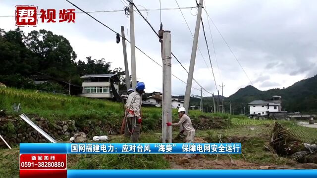 故障排查、现场抢修 福建电力全力抢修受损设施 保障电网运行