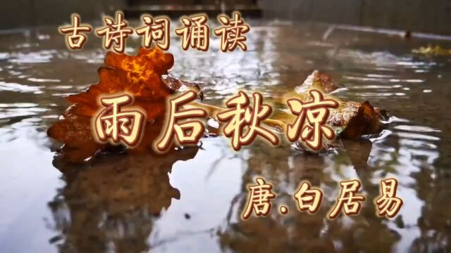 雨后秋凉,唐.白居易