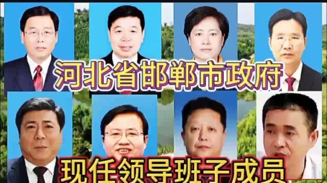 河北省邯郸市政府现任领导班子成员,不忘初心方得始终,你了解谁