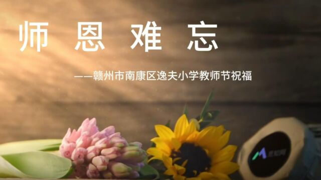 赣州市南康区逸夫小学教师节祝福