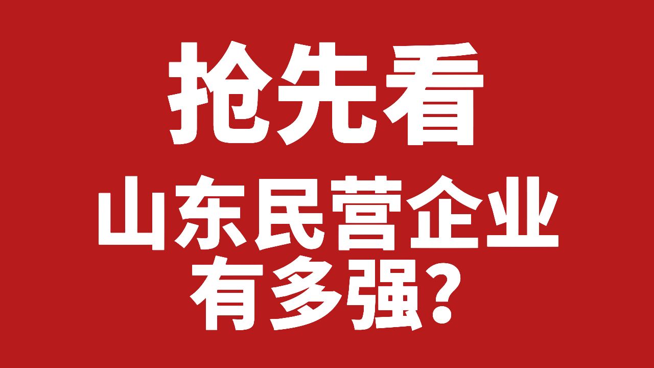 快闪丨“光速”抢先看!山东民营企业有多强?