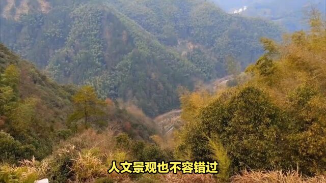 皖浙交界的秘密风光:三条适合深度自驾游的线路推荐