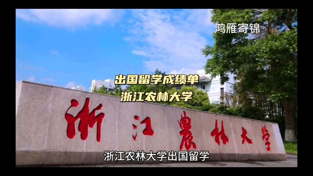 鸿雁寄锦出国留学中英文成绩单证明打印 浙江农林大学