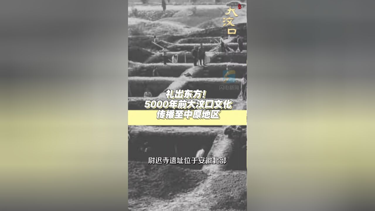 礼出东方!5000年前大汶口文化传播至中原地区