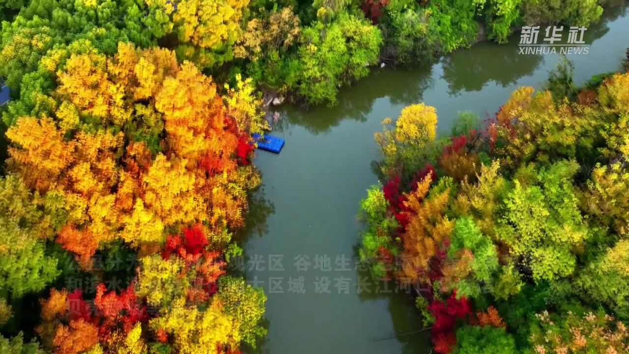 满目皆景 打卡上海吴淞炮台湾国家湿地公园