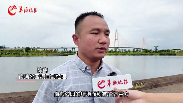 汕头:煤场码头变湖光山色,海绵绿地成休闲胜地|绿美岭南城ⷧ𛿧𞎦ሤ𞋀