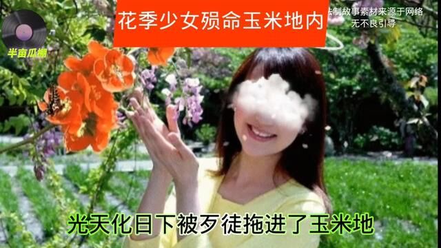 #案件 #案件故事 #衡水 花季少女殒命玉米地