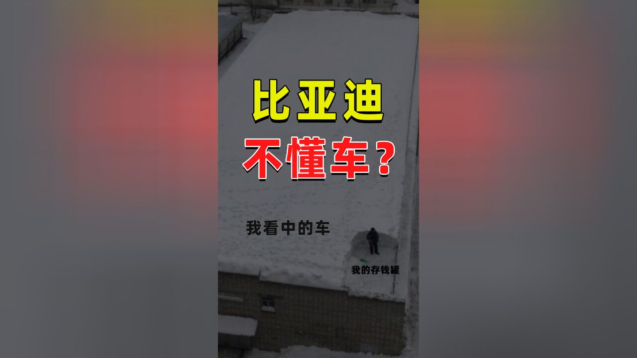 比亚迪不懂车?