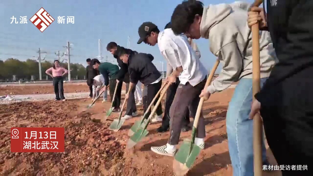 武汉高校上演种地吧少年:想种什么学生自己决定,目前种植人气最高的作物是花生和红薯