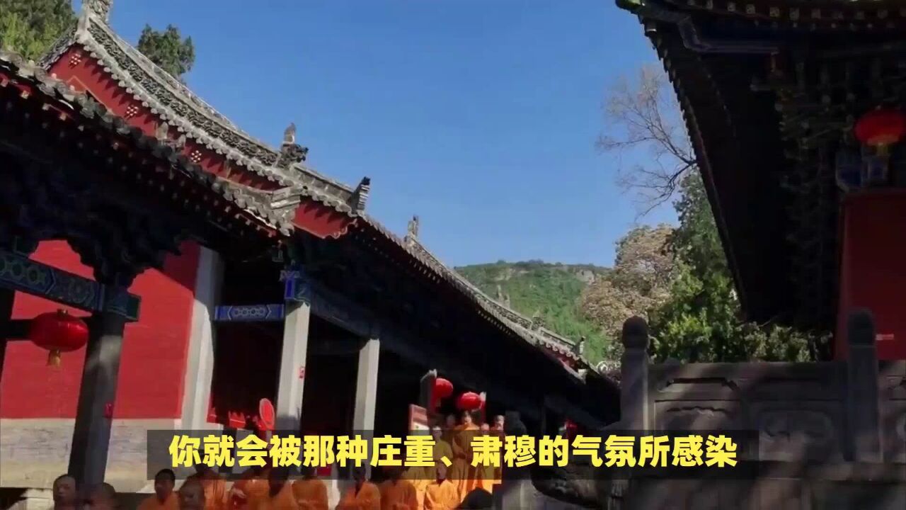 少林寺在河南什么地方?走进嵩山腹地,感受少林寺的震撼与魅力!