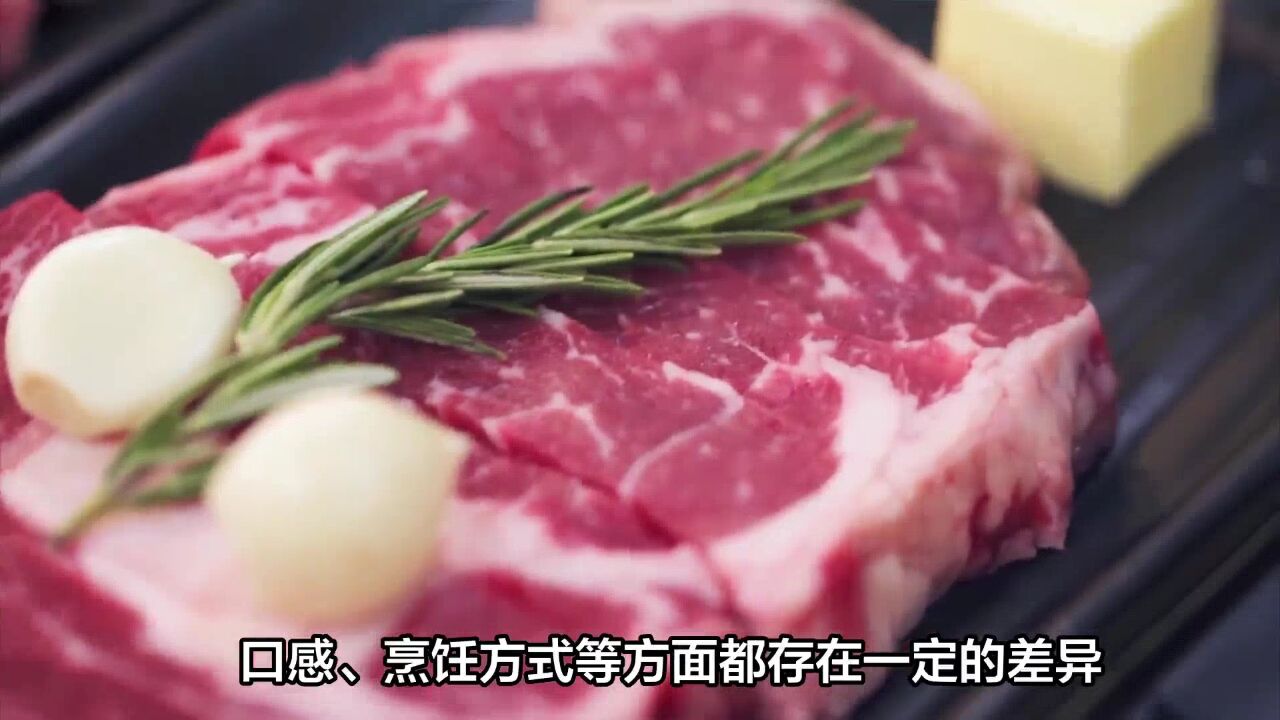 买牛肉时,要分清“牛腩”和“牛肋条”,口感差别大,别买错了