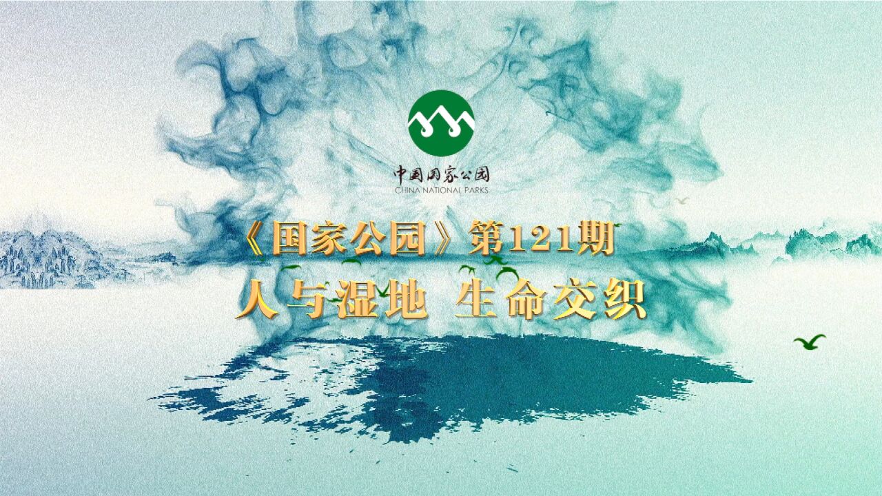 《国家公园》第121期:人与湿地 生命交织