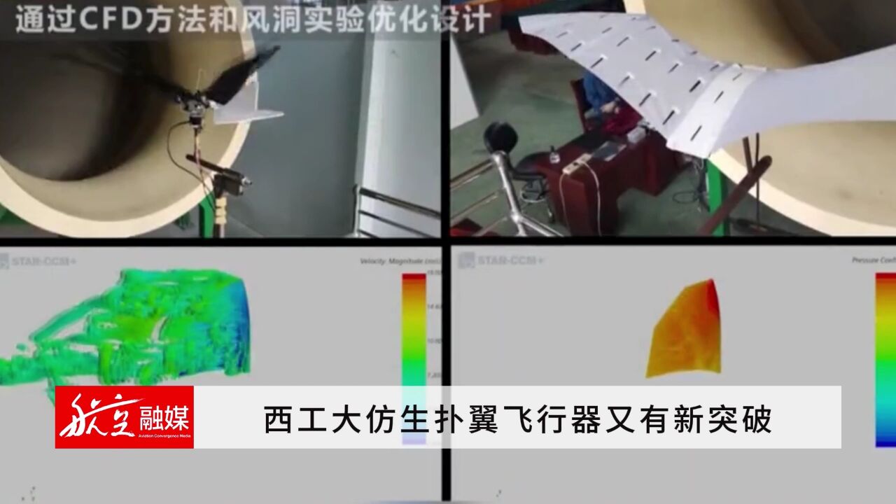 西工大仿生扑翼飞行器又有新突破