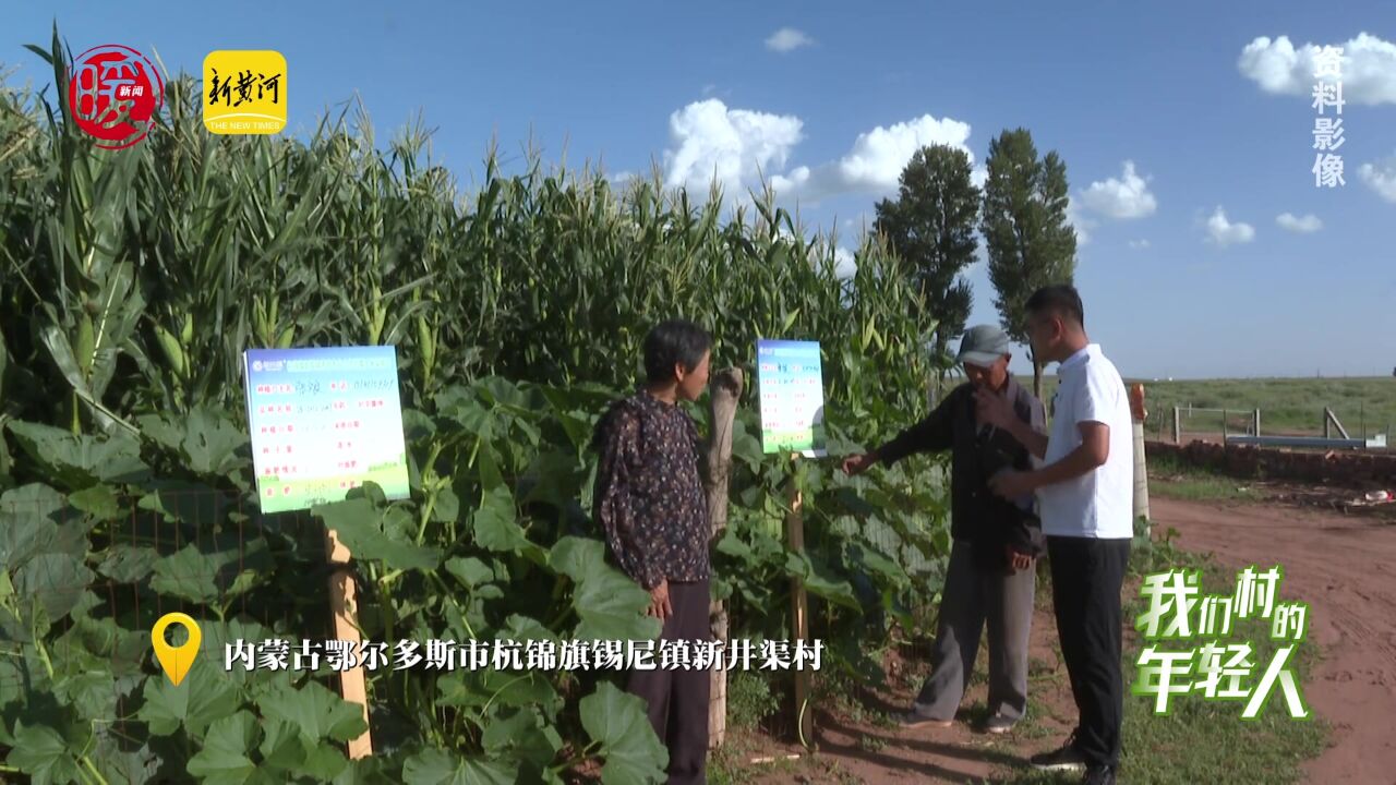 鄂尔多斯小伙李贵鹏:大学生返乡种玉米,让农民过上甜日子 | 我们村的年轻人