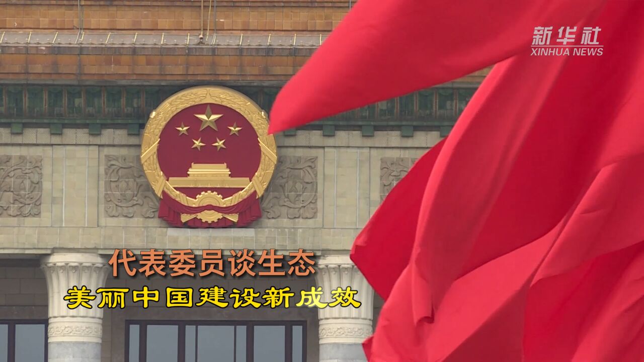 代表委员谈生态:美丽中国建设新成效