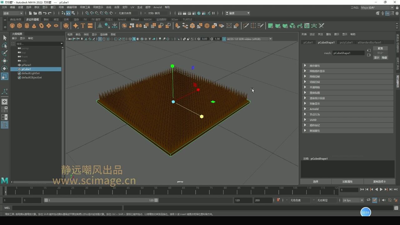 【SCI科研制图教程】如何用maya软件做生长纳米线(Maya软件)【宋元元博主】