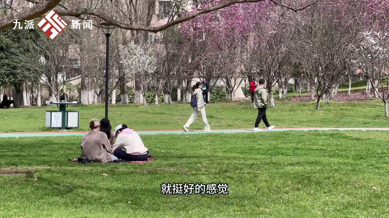 春分节气来解放公园踏青,趁春色正好,赶快和你的踏春“搭子”一起去看看吧