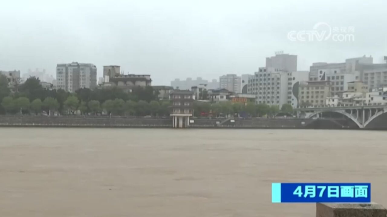 韶关连日普降大雨,北江水流湍急,多个水文站超警戒水位