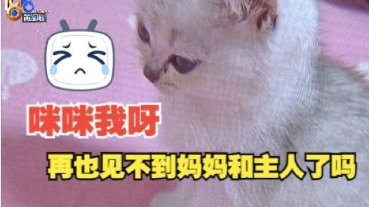 【1818黄金眼】“闲鱼”自提“小笼包” “主动添加”难核实