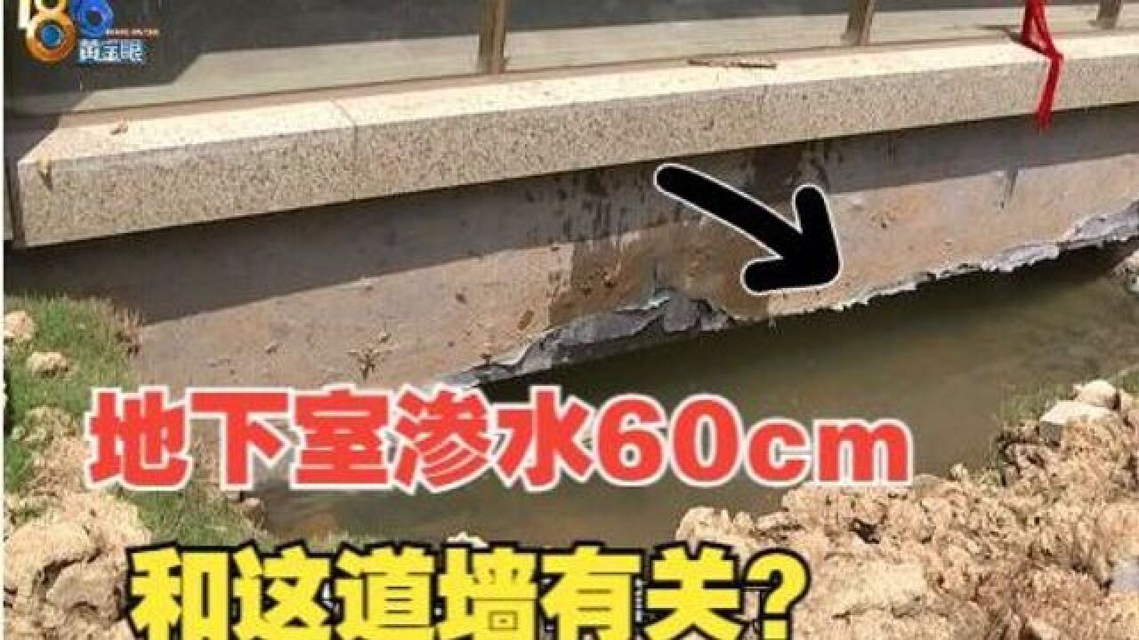 【1818黄金眼】地下室渗水60厘米,业主质疑一道墙