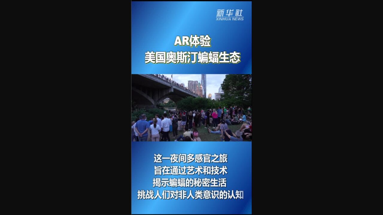 AR体验美国奥斯汀蝙蝠生态