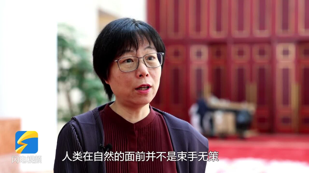 中国传媒大学电视学院教授、博士生导师张雅欣:《大河之洲》是一种视觉盛宴