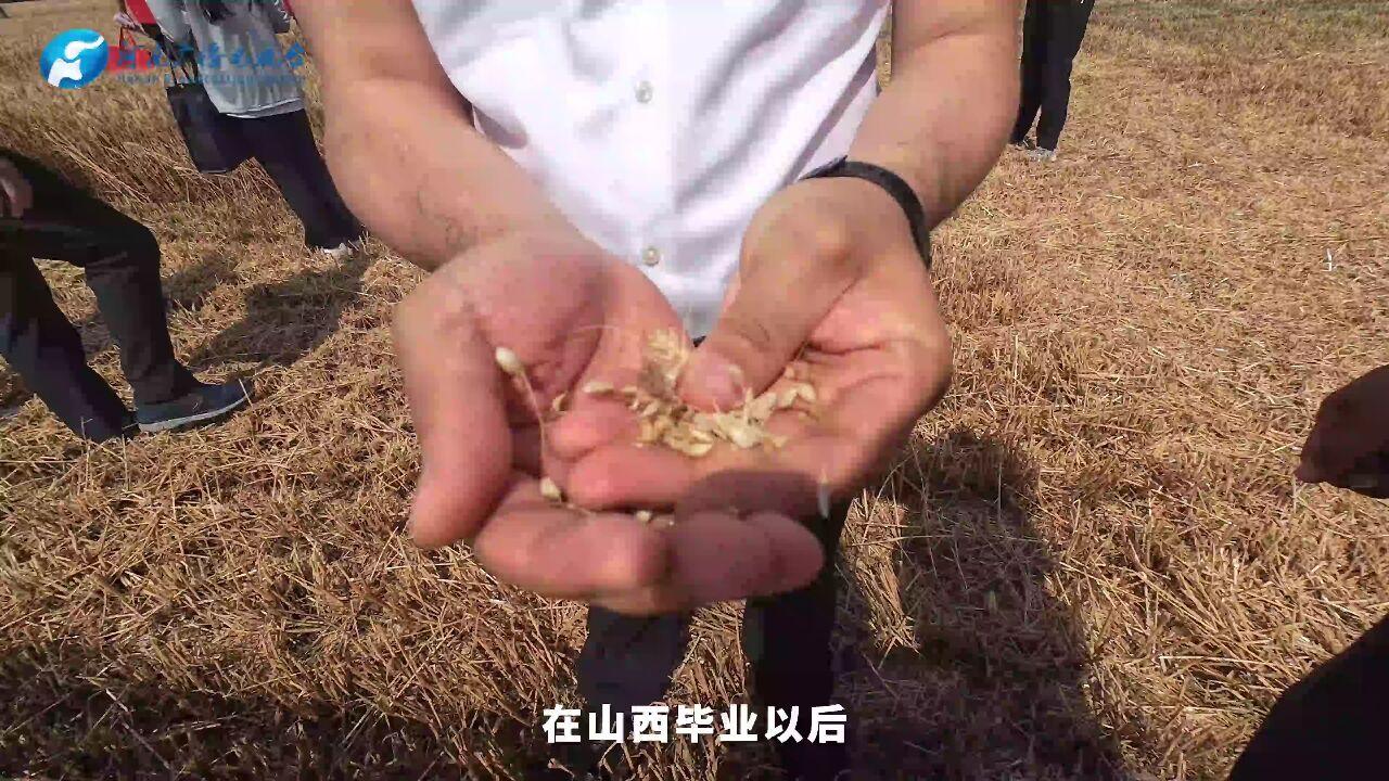 帮主日记:许远超 像种子一样扎根泥土丨三夏“码”上帮