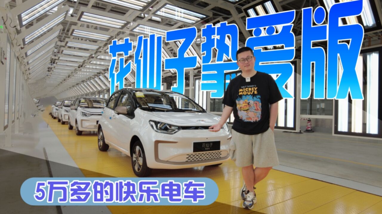 5万多代步小电车,满电能跑301km,钇为花仙子挚爱版真舍得堆料!