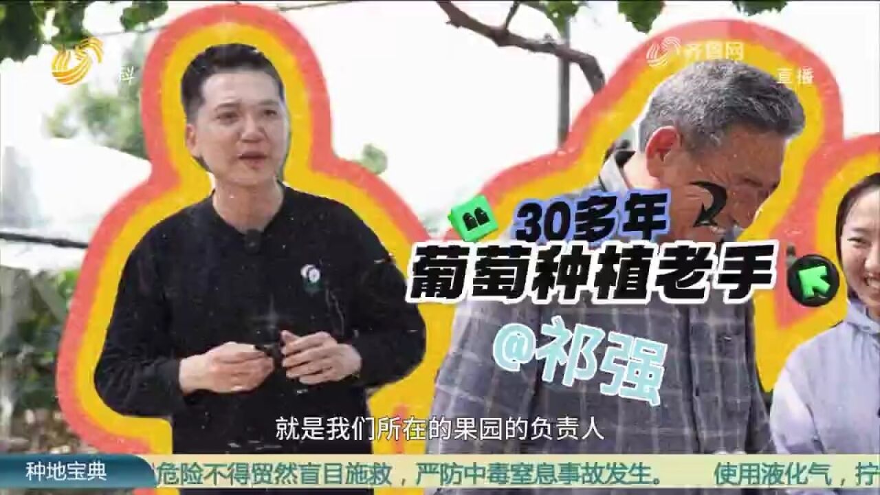 葡萄种植户们学起来!葡萄管理关键期,专家现场来帮忙,学起来