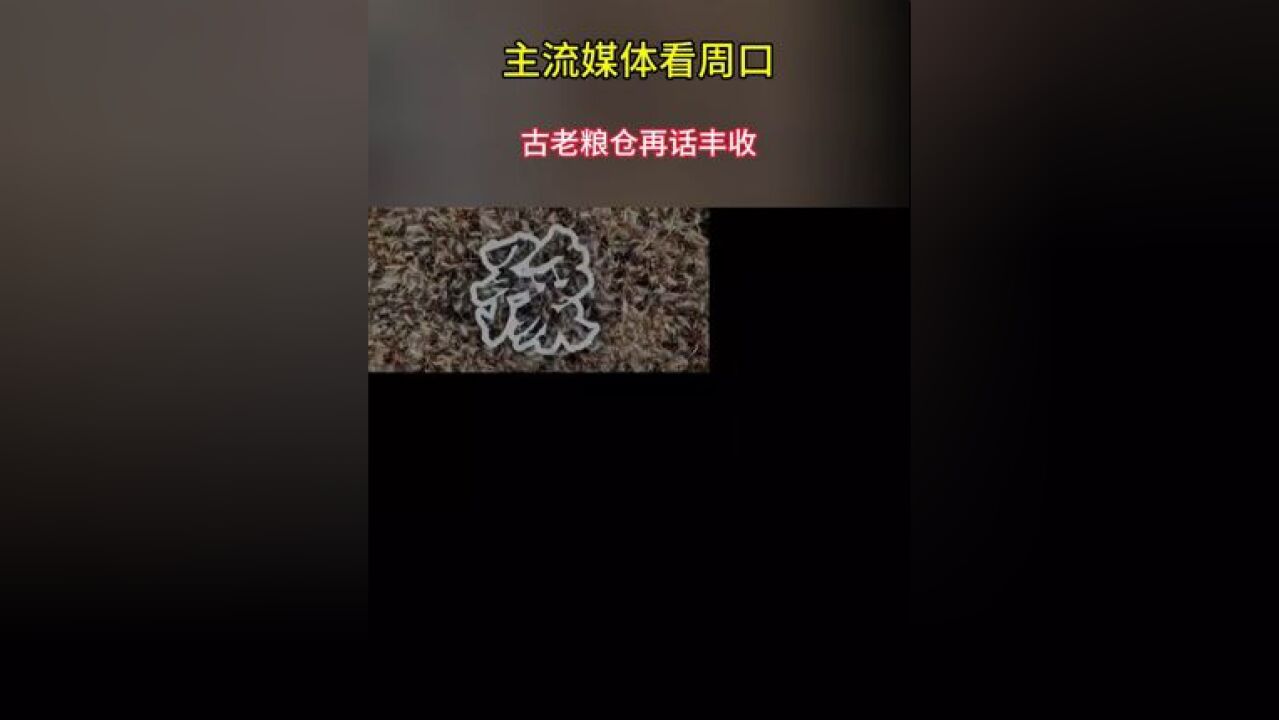 主流媒体看周口 古老粮仓再话丰收