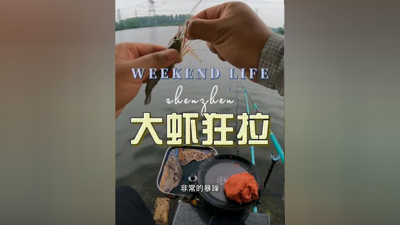 美味的大虾