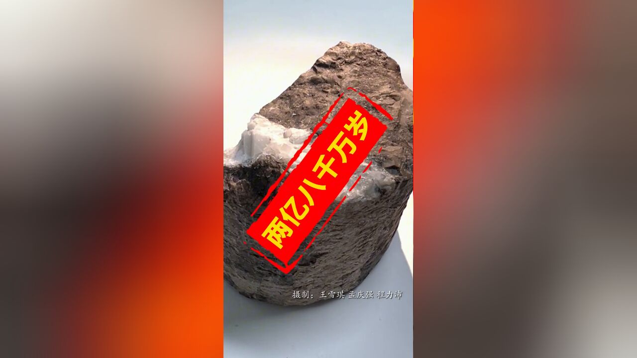 2.8亿岁的……“文物”?