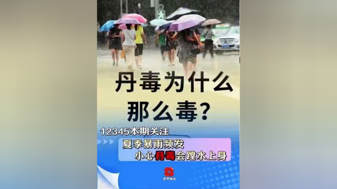 夏季暴雨频发 小心丹毒会蹚水上身