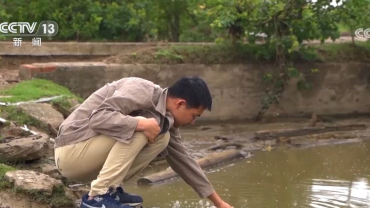 江苏盐城:麋鹿定期普查,建大数据,种群持续壮大