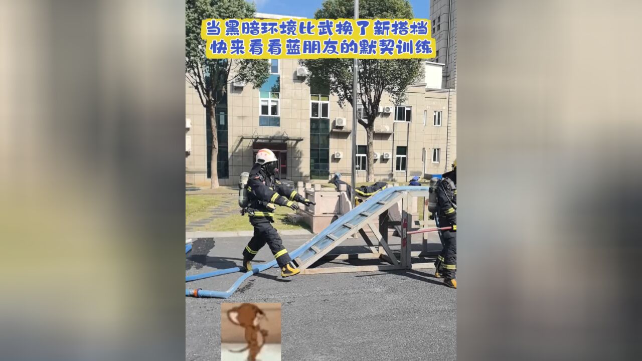 论班长如何提升我们的默契度,就是有点费队友~